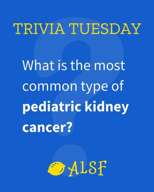 Image post by @alexslemonade on Instagram