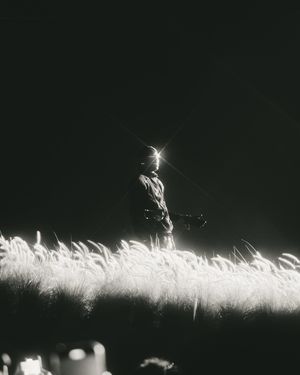 Image post by @shotby.ar on Instagram