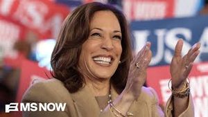 Video post by @msnbc on YouTube