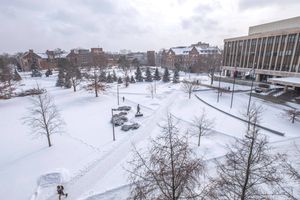 Image post by @michiganstateu on Twitter