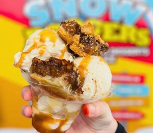 Image post by @snowboogers on Instagram