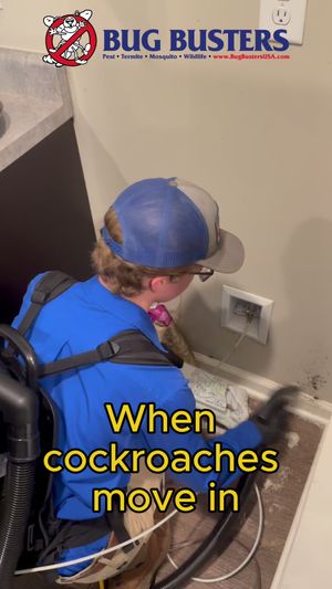 Video post by @bugbustersusa on TikTok