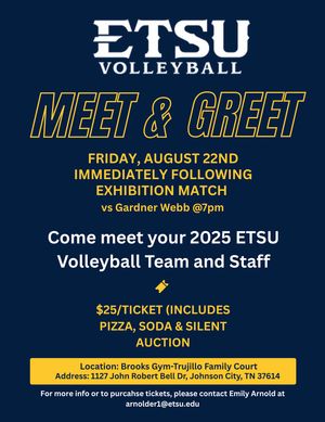 Image post by @etsuvolleyball on Instagram