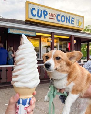 Image post by @ziggythecorg on Facebook