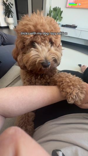 Video post by @tedflixnchill on TikTok