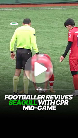 Video post by @dailymailsport on TikTok