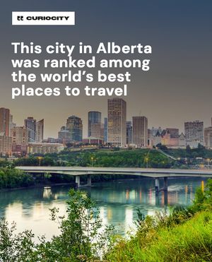 Image post by @curiocitycalgary on Instagram
