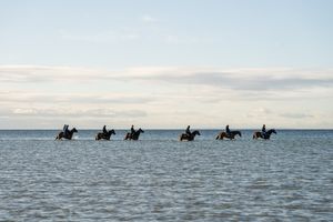 Image post by @flemingtonvrc on Instagram
