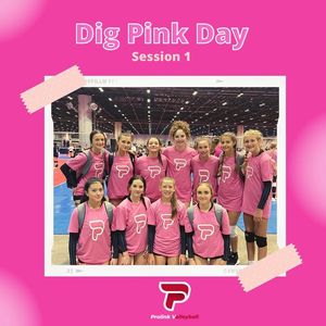 Image post by @PLAvolleyball on Facebook