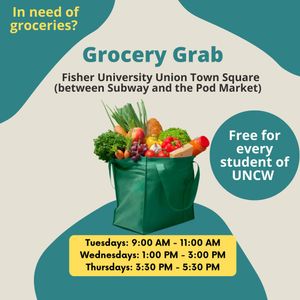 Image post by @uncwadmissions on Instagram