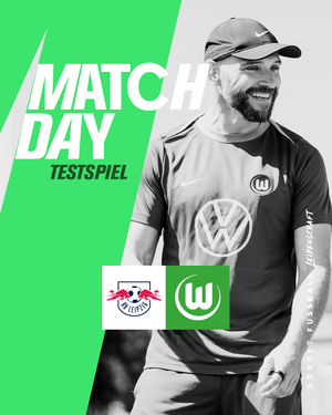 Image post by @vfl.wolfsburg.frauen on Instagram