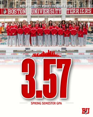 Image post by @terrierswimdive on Instagram