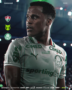 Image post by @palmeiras on Instagram