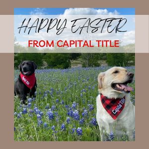 Image post by @capitaltitlelakeway on Instagram