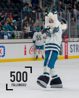 Image post by @womenofhockeysj on Instagram