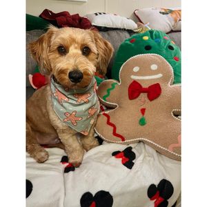Image post by @pupcorntreats on Instagram