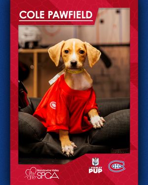 Image post by @canadiensmtl on Instagram
