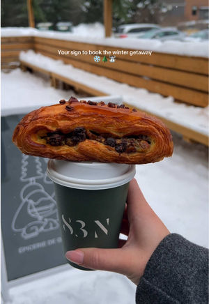 Video post by @morgan.exploring on TikTok