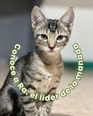 Image post by @tierradenando on Instagram