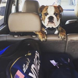 Image post by @usta on Instagram