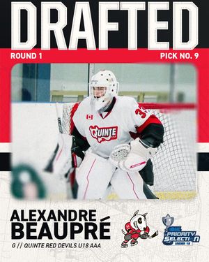 Image post by @ohlicedogs on Instagram