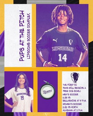 Image post by @lipscombbisons on Instagram