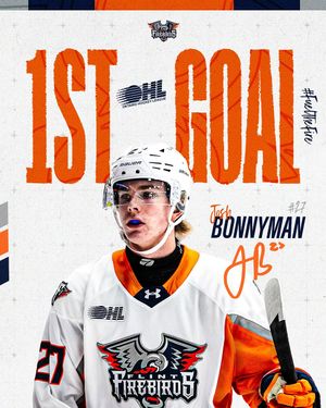 Image post by @flintfirebirds on Instagram