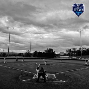 Image post by @littleleague on Instagram