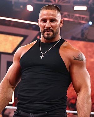 Image post by @bronbreakkerwwe on Instagram