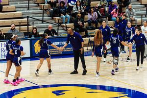 Image post by @sfa_wbb on Instagram