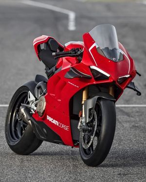 Image post by @panigalers on Instagram