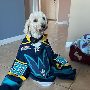 Image post by @uncwhockey on Instagram