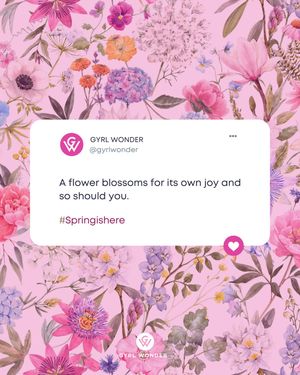 Image post by @gyrlwonder on Instagram