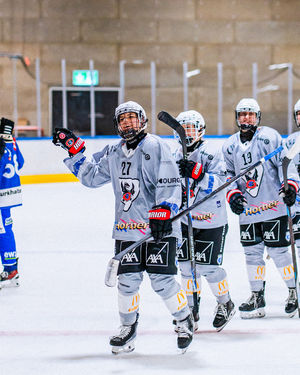 Image post by @swissicehockeyfederation on Instagram