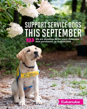 Image post by @canineorg on Instagram