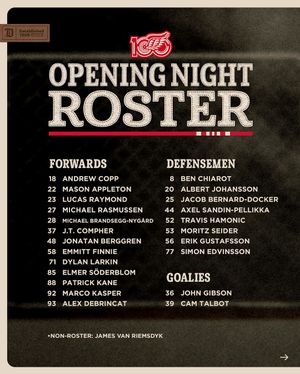Image post by @detroitredwings on Instagram