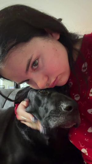 Video post by @laurenspencerspam on TikTok