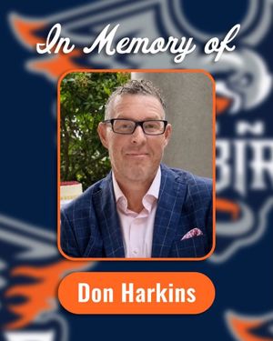 Image post by @flintfirebirds on Instagram