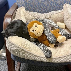 Image post by @marquetteu on Instagram