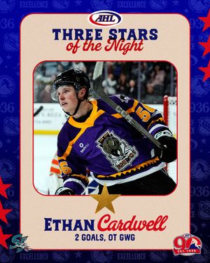 Image post by @theahl on Instagram