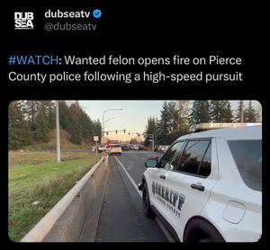 Image post by @dubseatv on Instagram