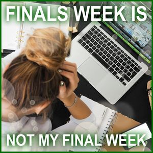Image post by @untunion on Instagram