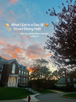 Video post by @bostoncollege on TikTok