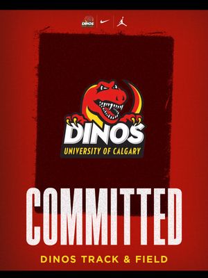Image post by @dinostfxc on Instagram