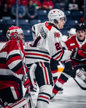 Image post by @ohlicedogs on Instagram