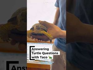 Video post by @Penn State University on YouTube