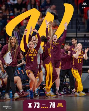Image post by @GopherWBB on Twitter