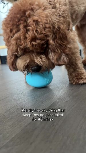 Video post by @tedflixnchill on TikTok