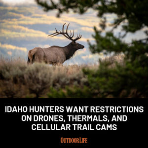 Image post by @outdoor_life on Instagram