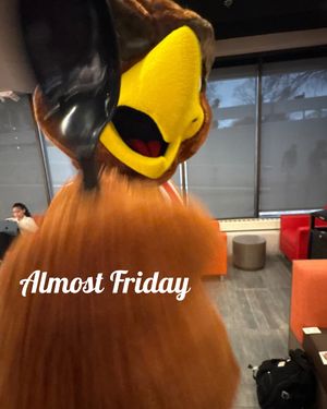 Image post by @rockyredhawk on Instagram